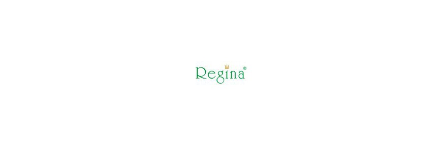 Regina producent bielizny nocnej - sklep internetowy